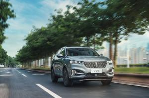 2020 WEY VV6